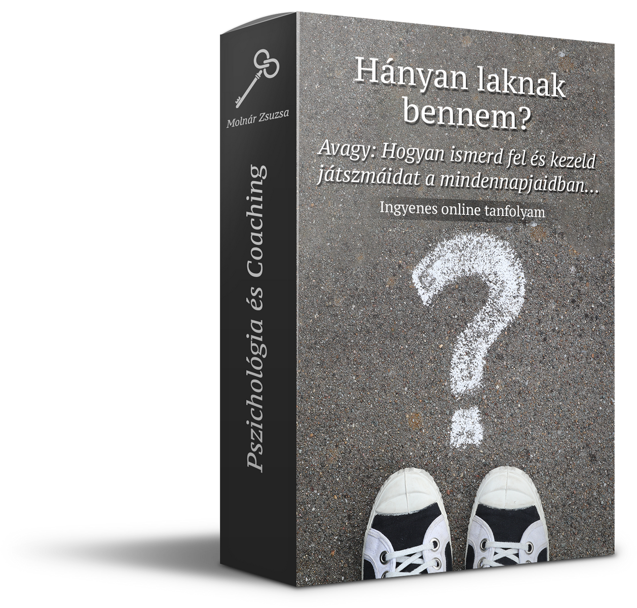 hanyan-laknak-bennem-mockup