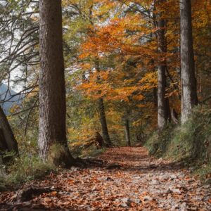 Belső Újrarendező - Életközepi fordulópont