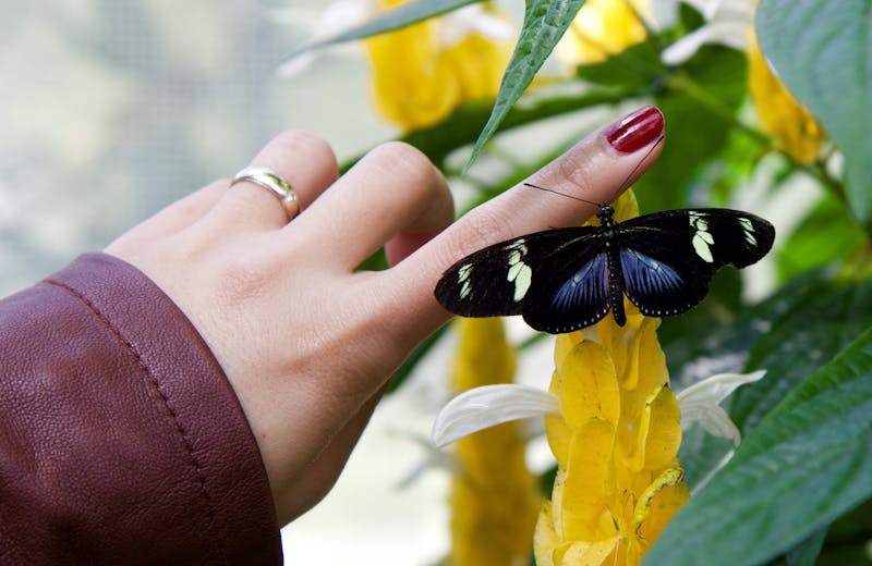 A rend felszabadító tud lenni...